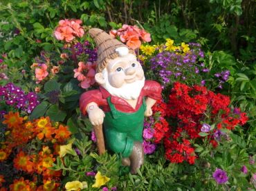 The humble garden gnome is under threat