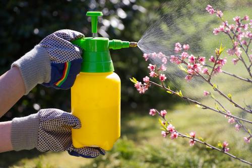 Garden Protection near Andover 