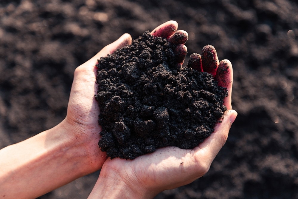 Tips For Healthy Soil Conkers Garden Centre