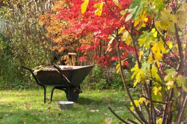 Why autumn's the best time to garden